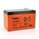 Акумуляторна батарея MERLION GL12120F2 12 V 12 Ah (150 x 98 x95 (100)) Orange Q6