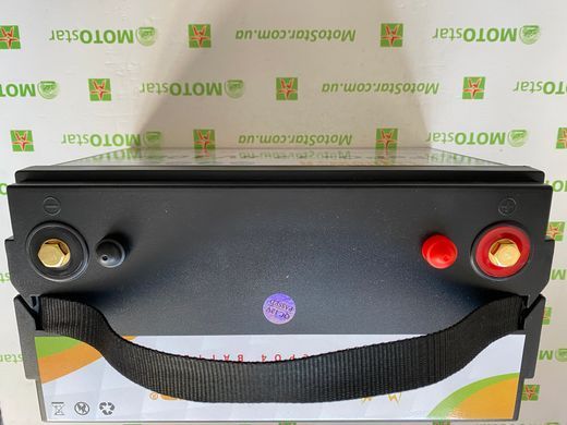 Аккумулятор FlyPower LiFePO4 12V/100AH, 1280W*h, 50А/100А (литий-железо-фосфатный аккумулятор для ИБП (UPS))